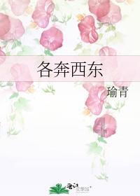 苹果三星华为OPPO四大旗舰长焦对决,谁丢了高端影像的脸?